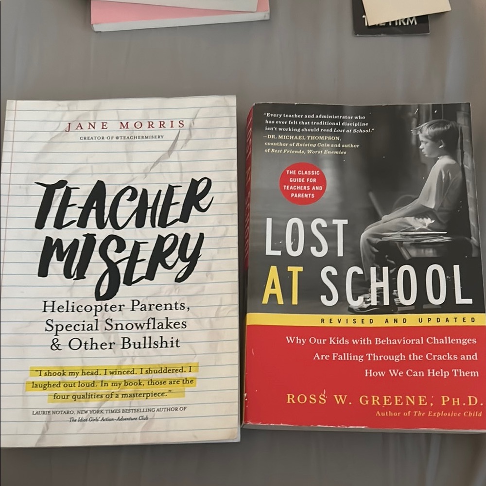 Teacher Misery & Lost at School Books